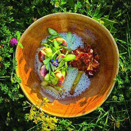 Hotel Chateau Du Bost - Teritoria Bellerive-sur-Allier