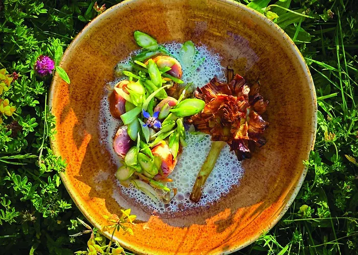 Hotel Chateau Du Bost Bellerive-sur-Allier